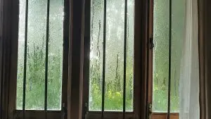 Storm protection for windows and doors in Vancouver WA home