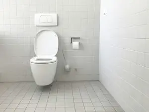 Gurgling toilet sign of sewage backup issue in Vancouver WA home