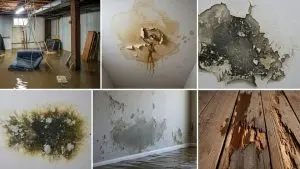 Summer sewage system inspection in Vancouver WA commercial property