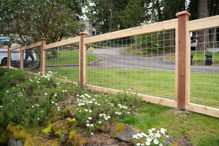 A hog wire with a bed of flowers in front of it