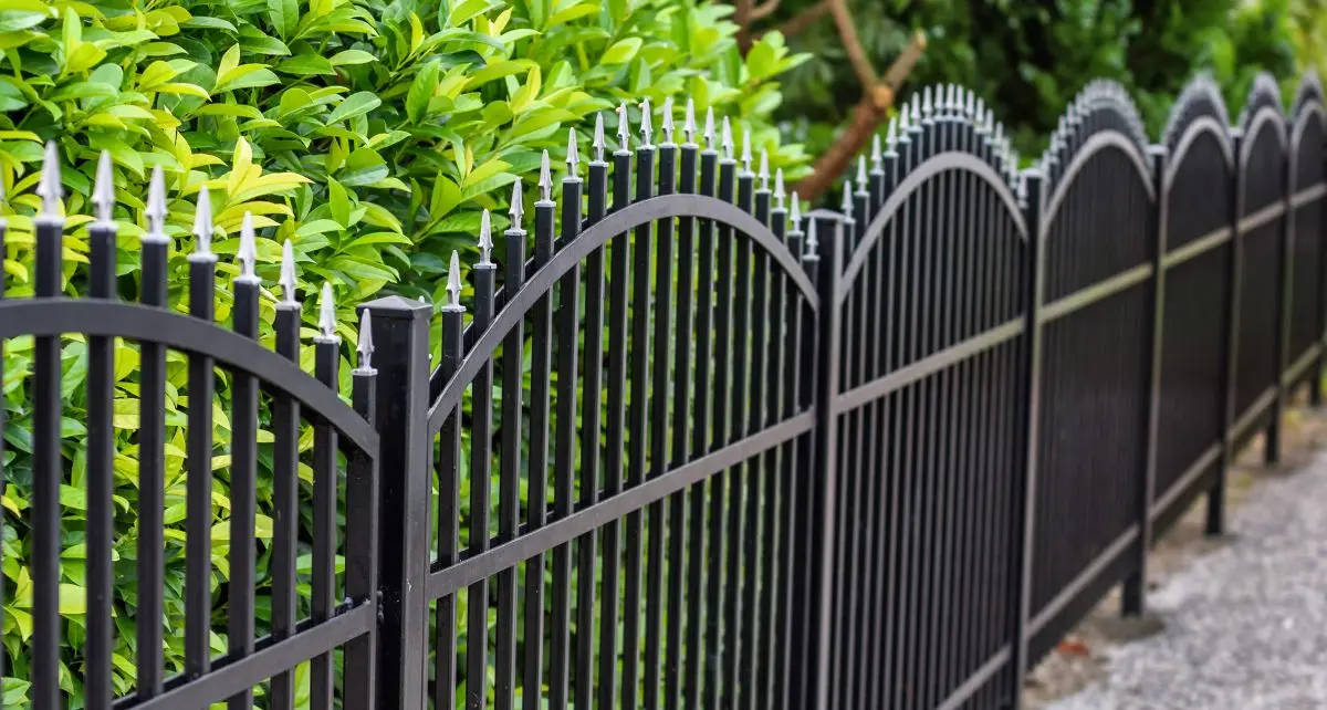Ornamental iron fence