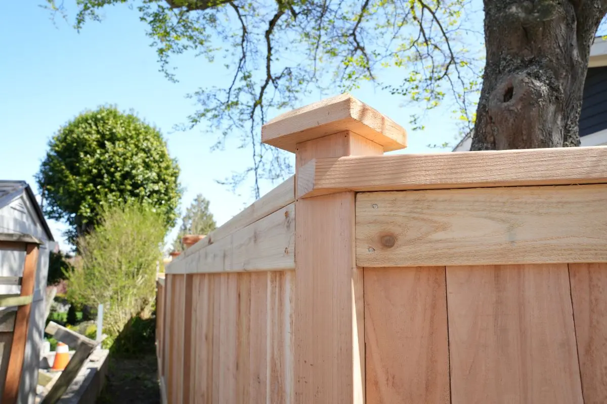 Close-up of a cedar fence