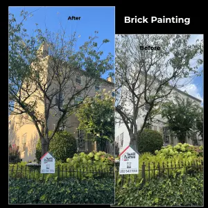 Tree painted to resemble a brick wall, showing a creative outdoor art transformation.