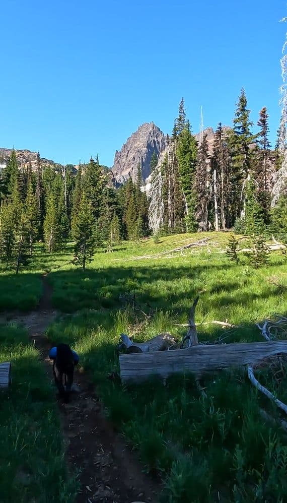 CanyonCreekMeadows1