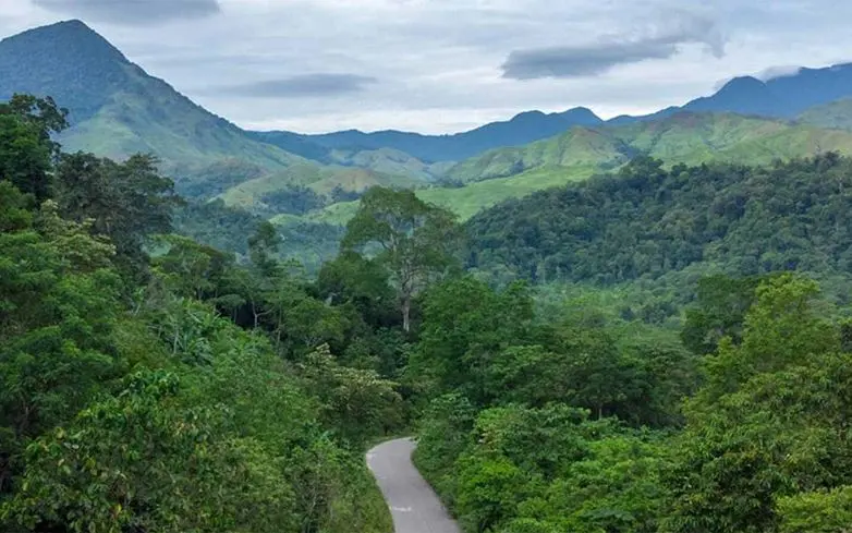 LWI forest case study