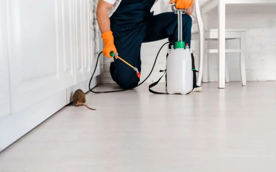 5 Effective Fall Pest Control Tips to Protect Your Home