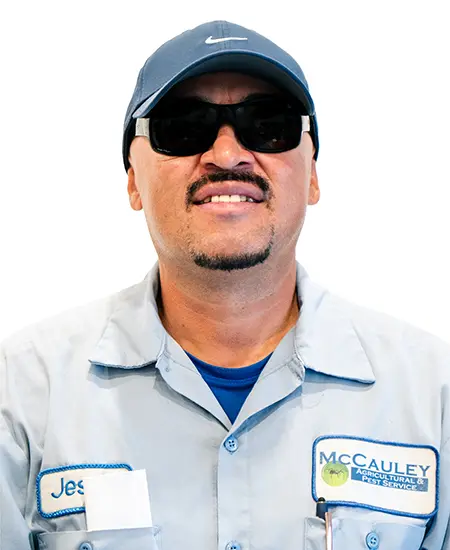 JesusRodriguez