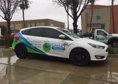 McCauley Pest control