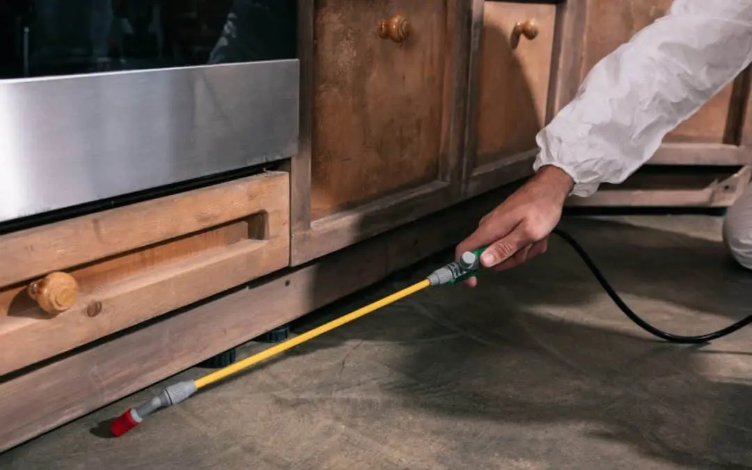 Multi-Family Pest Control: 7 Common Area to Monitor