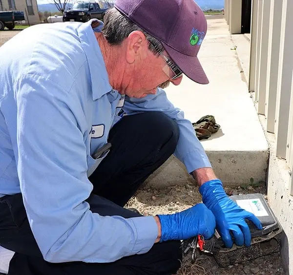 rodent control technician performing a rodent inspection