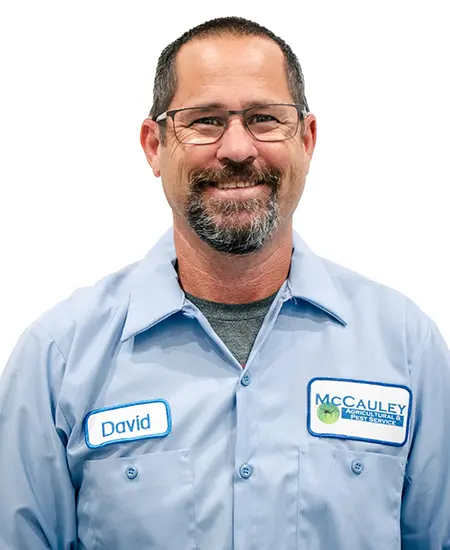 David Agpalo