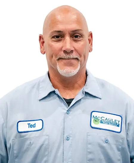 Ted Noack
