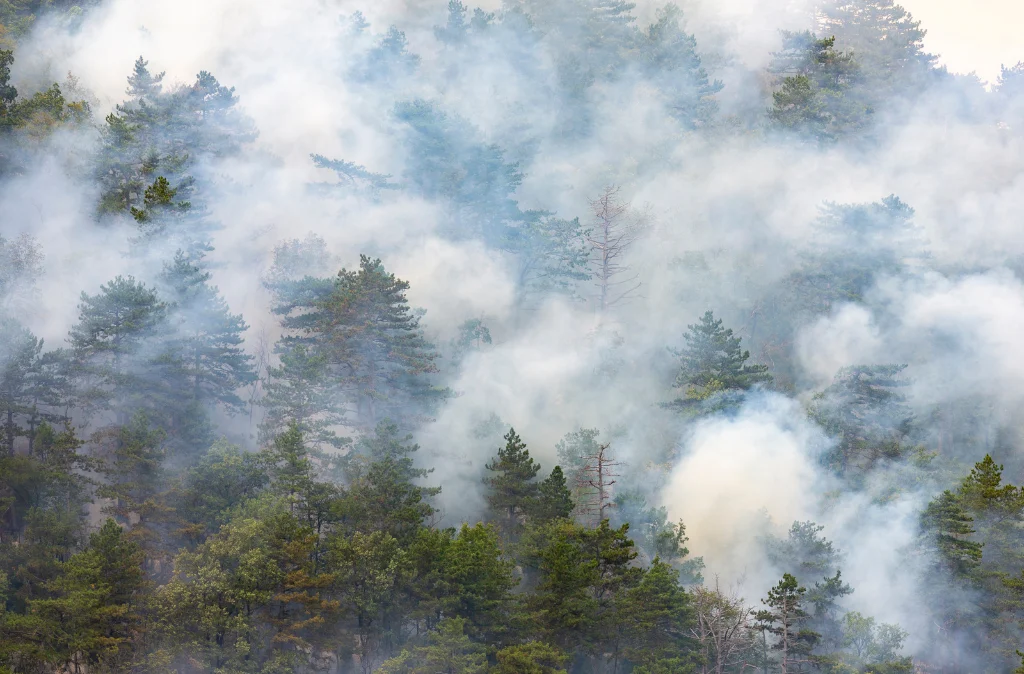 Wildfire Smoke