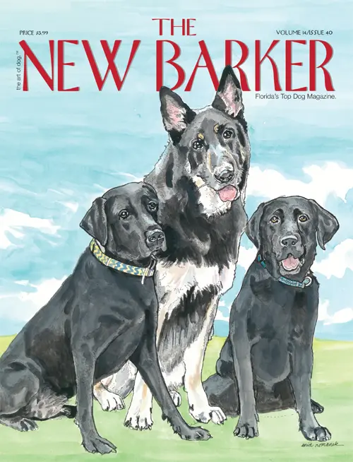 COVER_40_WEB_000