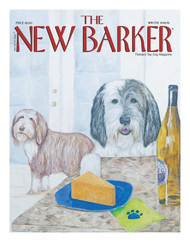 ISSUE28_COVER_000