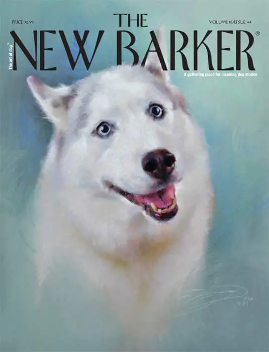 COVER_ISSUE_44_000 COVER_ISSUE_44_000