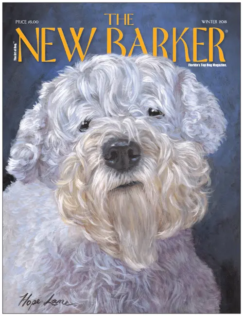 ISSUE_34_COVER