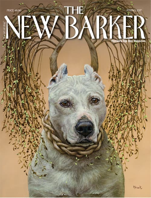 ISSUE_32_COVER_000