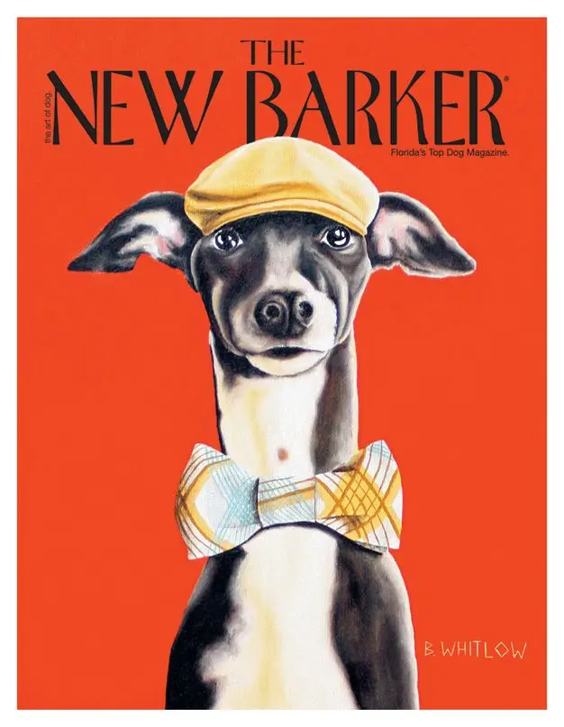 ISSUE27_COVER_000