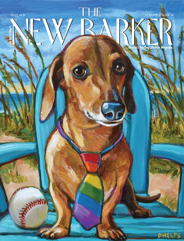 COVER_38_000