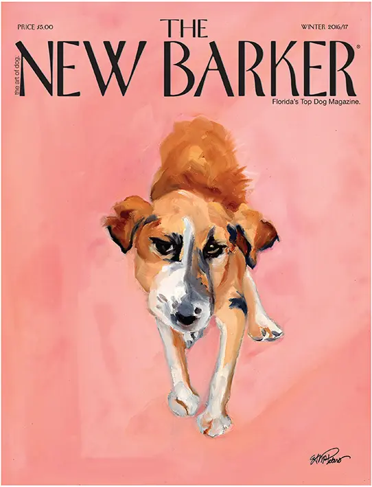 ISSUE_31_Cover