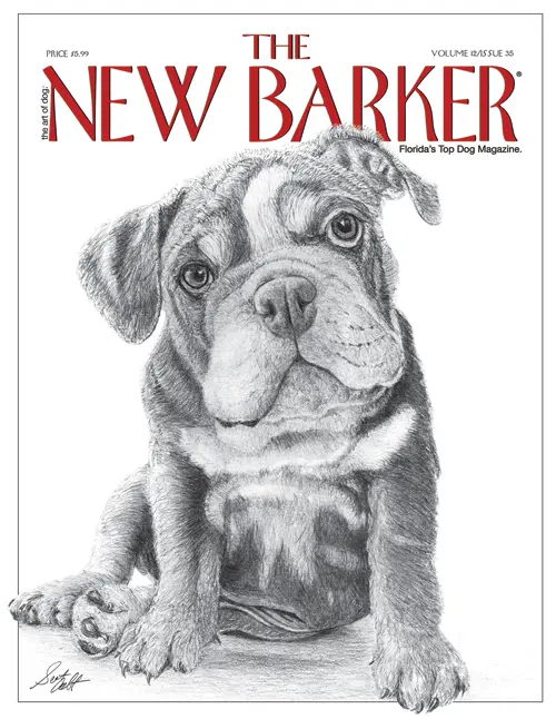 ISSUE_35_Cover_000