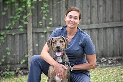 Dr.-Kelli-Weaver Dr. Kelli E. Weaver, VMD, DACVIM (SAIM), board-certified small animal internist in Tampa