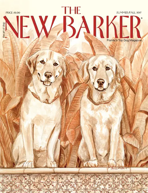 ISSUE_33_COVER_000