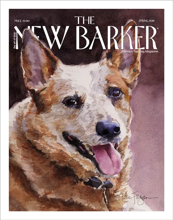 TheNewBarker_Spr_2016