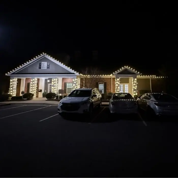 Christmas Light Installation services in Barboursville VA