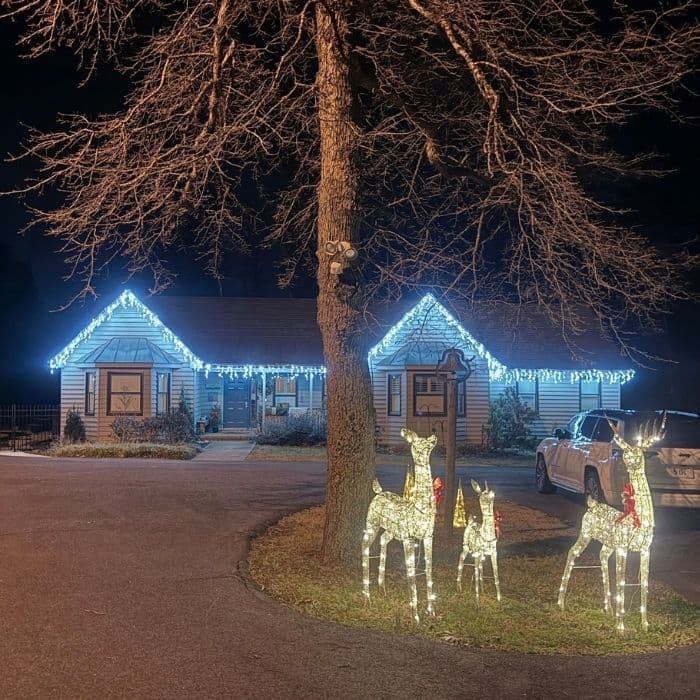 Christmas Light Installation services in Ruckersville VA