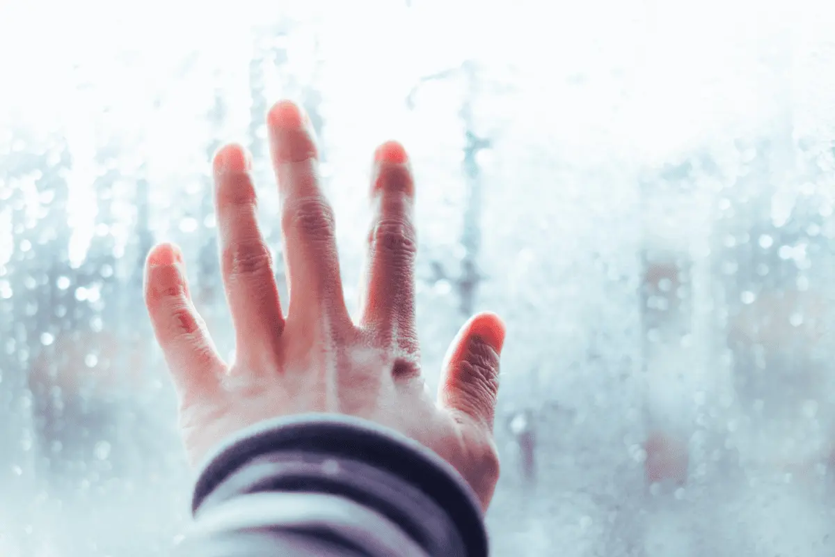 Winter Humidity