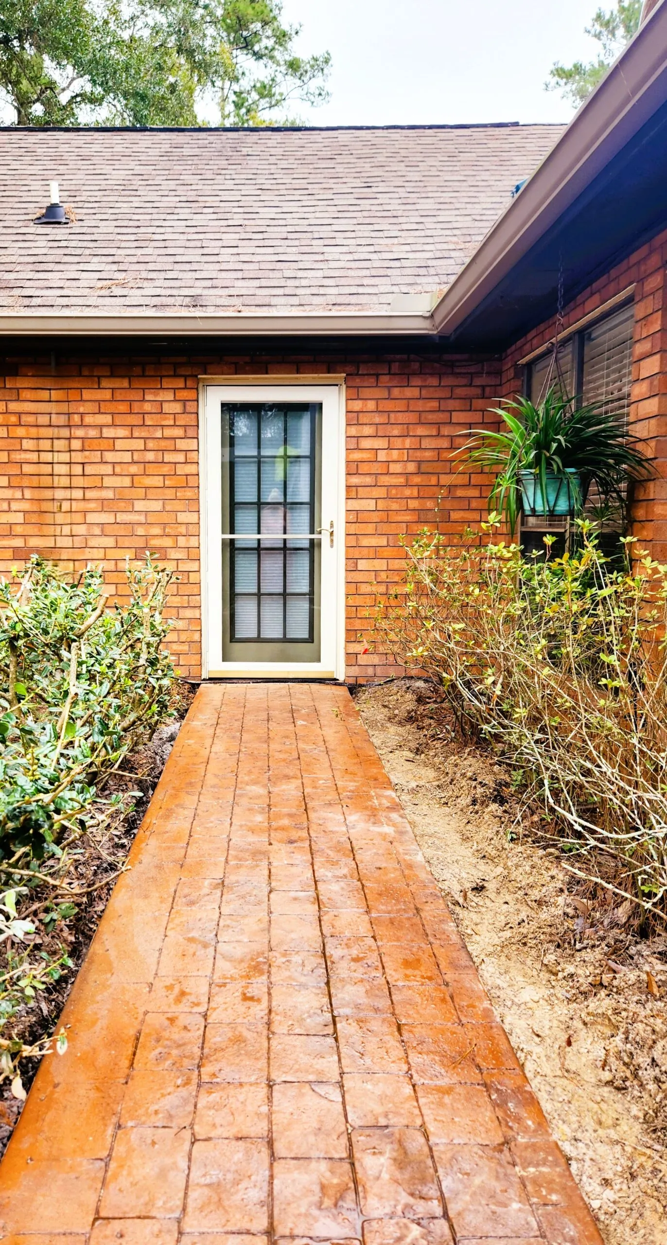 Concrete pathway leading to a door, surrounded by shrubs and plants, showcasing quality concrete installation for residential outdoor projects.