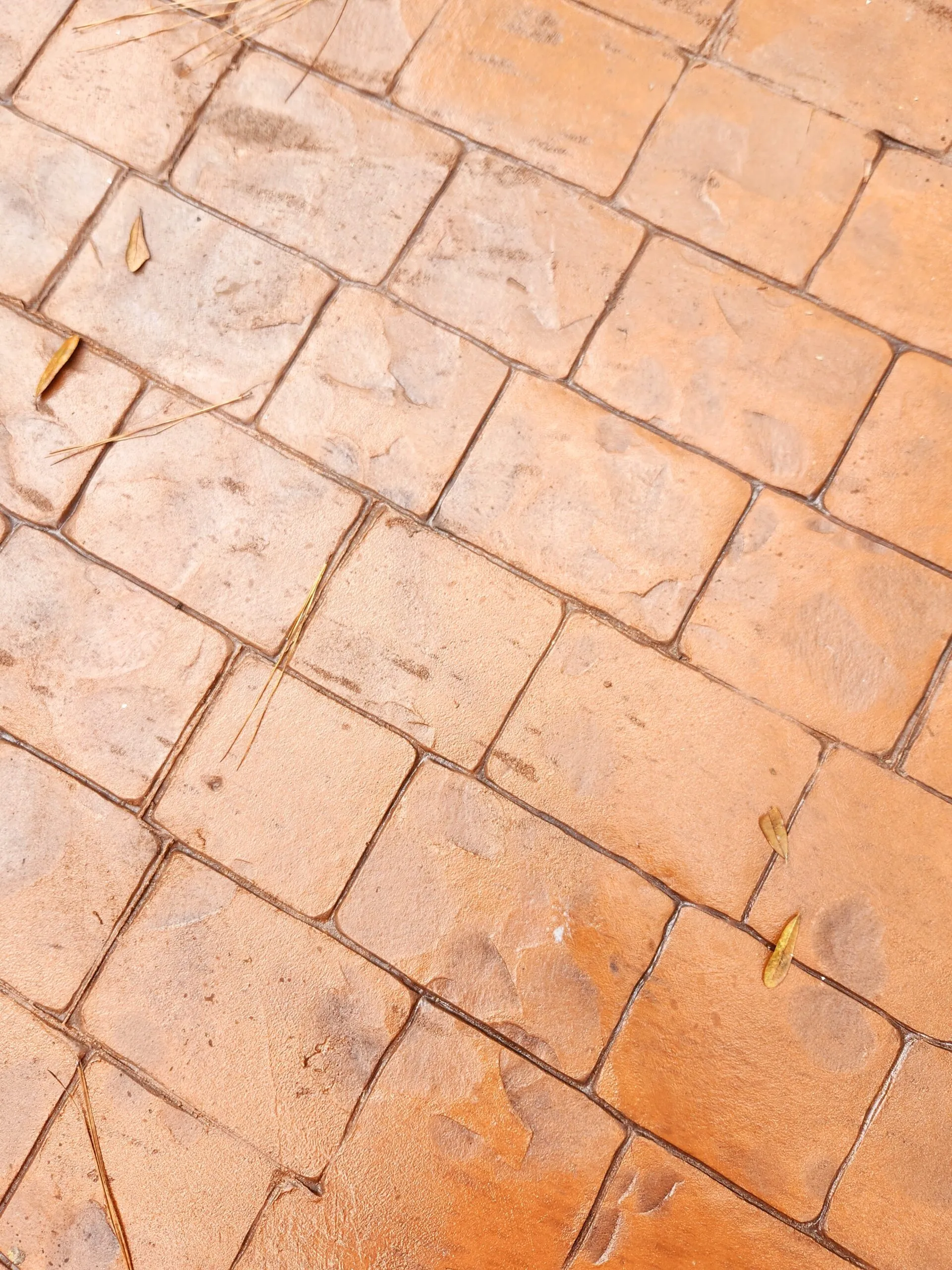 Stamped concrete patio surface showcasing a textured, decorative finish in warm tones, with scattered leaves, emphasizing outdoor project quality by Capital Improvement.