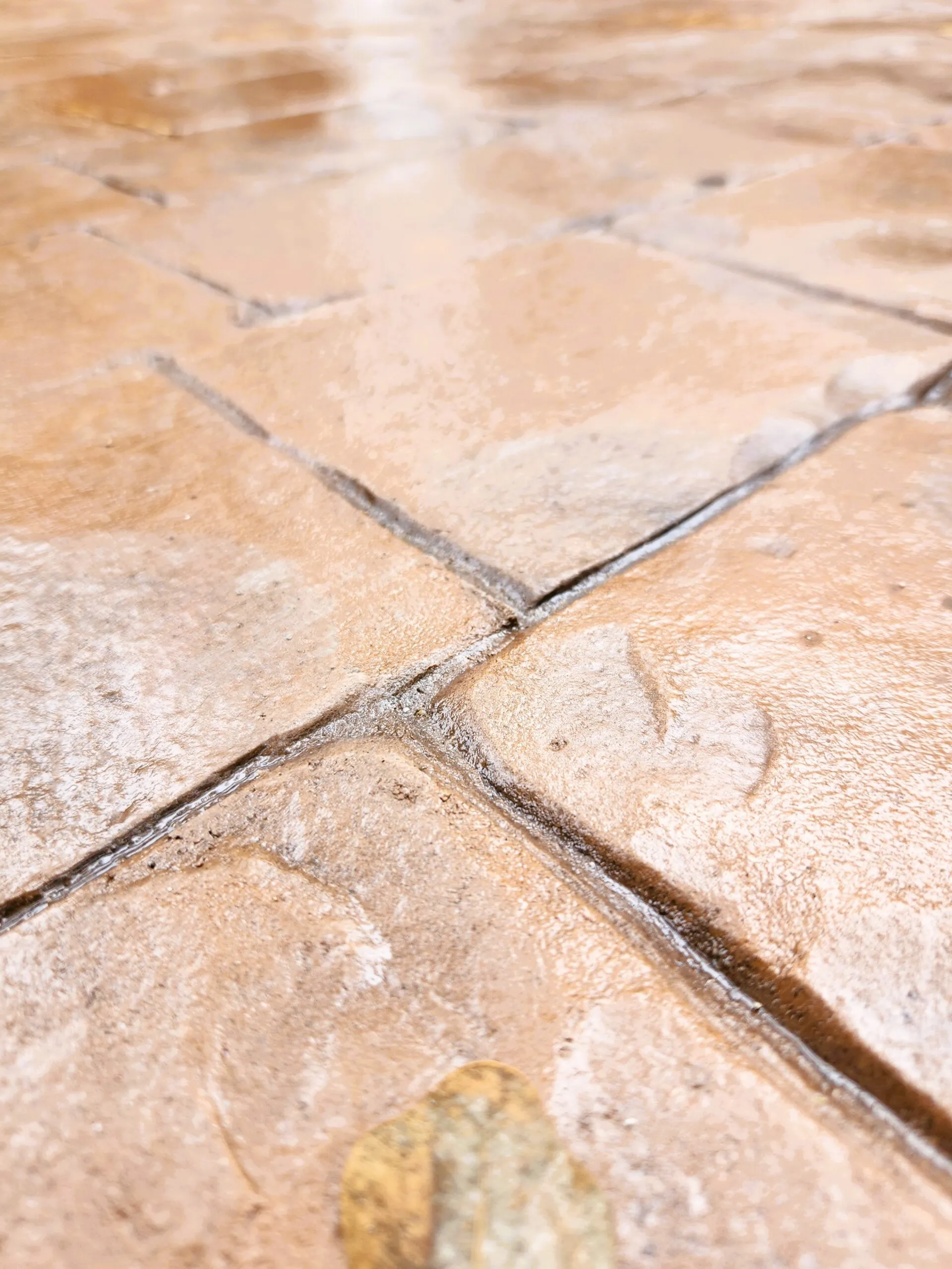 Close-up of stamped concrete surface with a textured pattern, showcasing a polished finish, ideal for outdoor projects like patios and walkways.