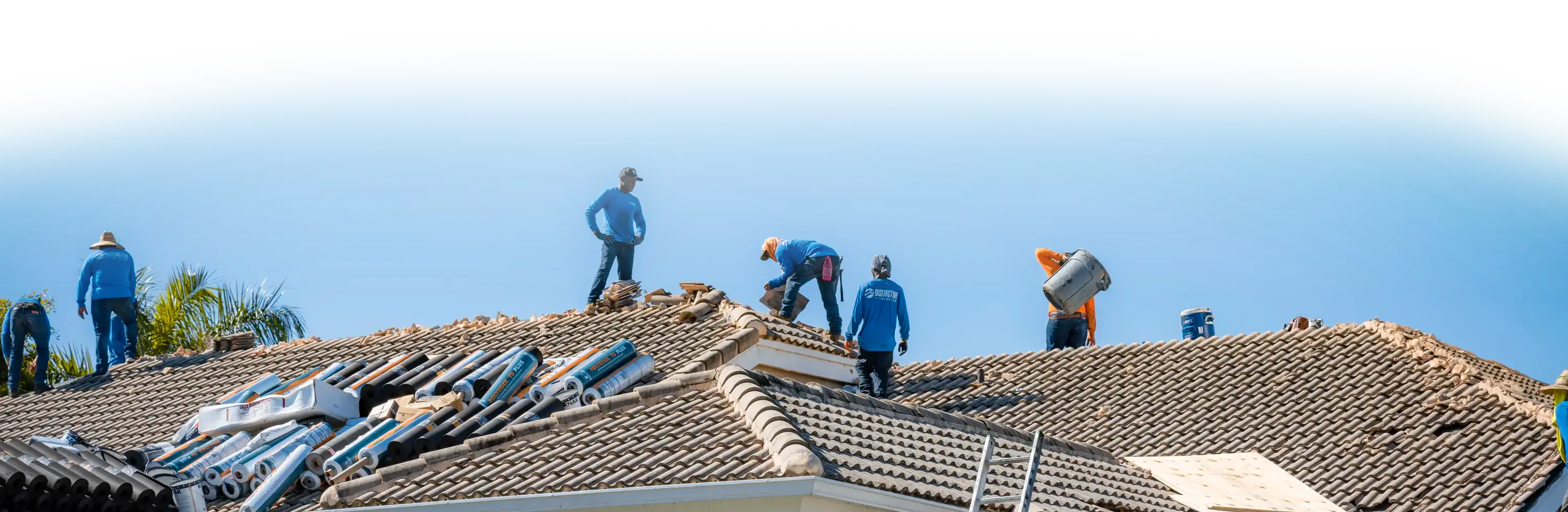 FAQs Background Image