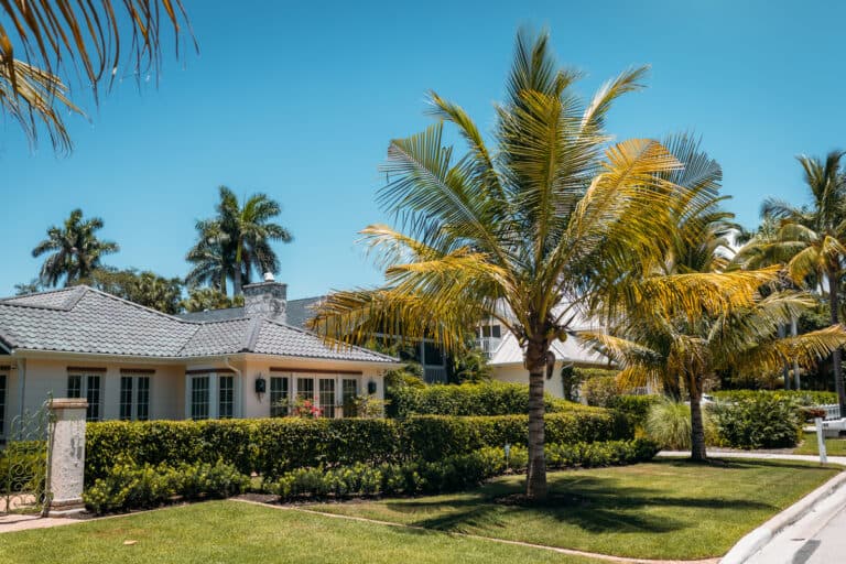 a nice villa