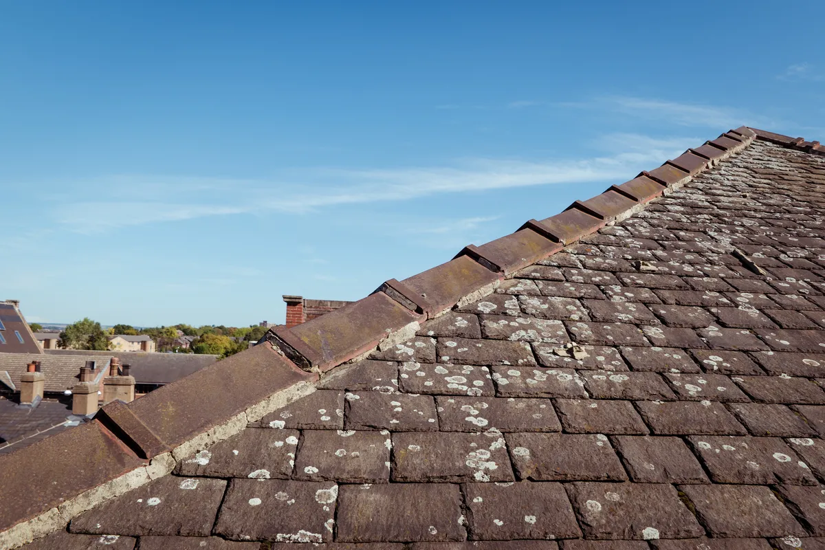 brown ridge cap shingles on a house