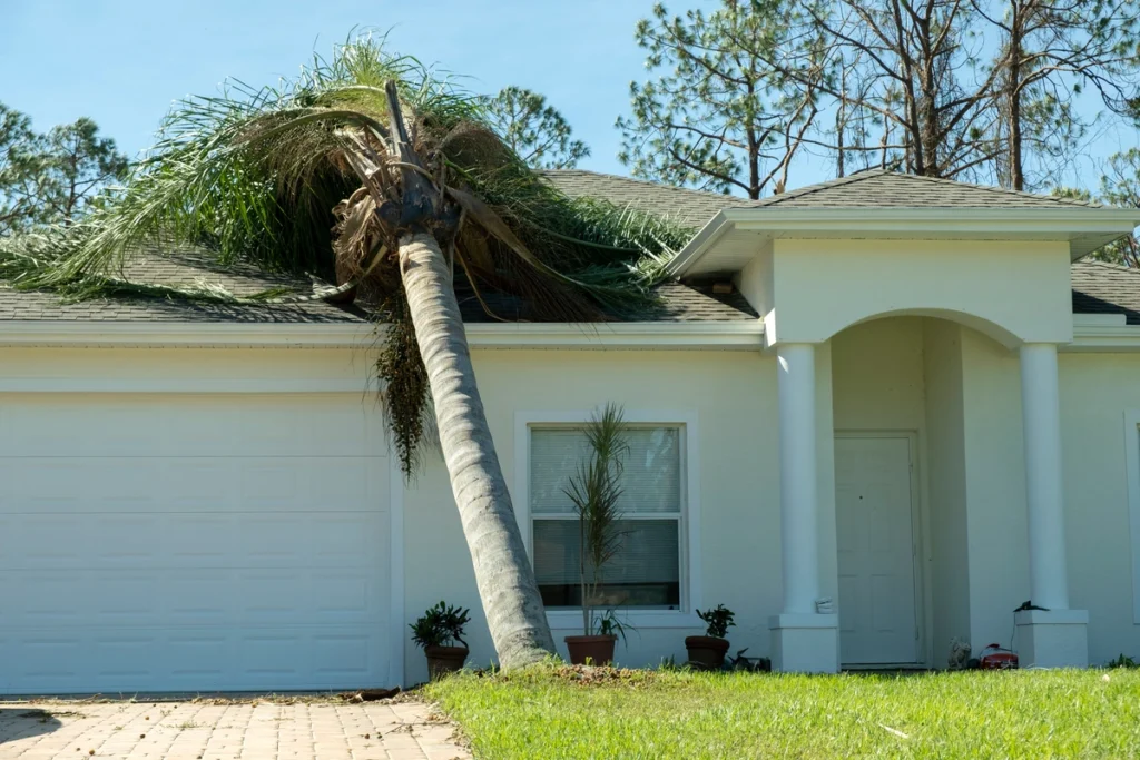 Florida roof storm damage
