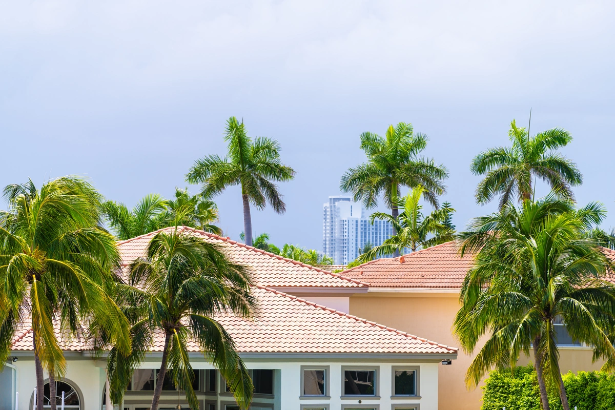 Florida trees storm clouds roof damage