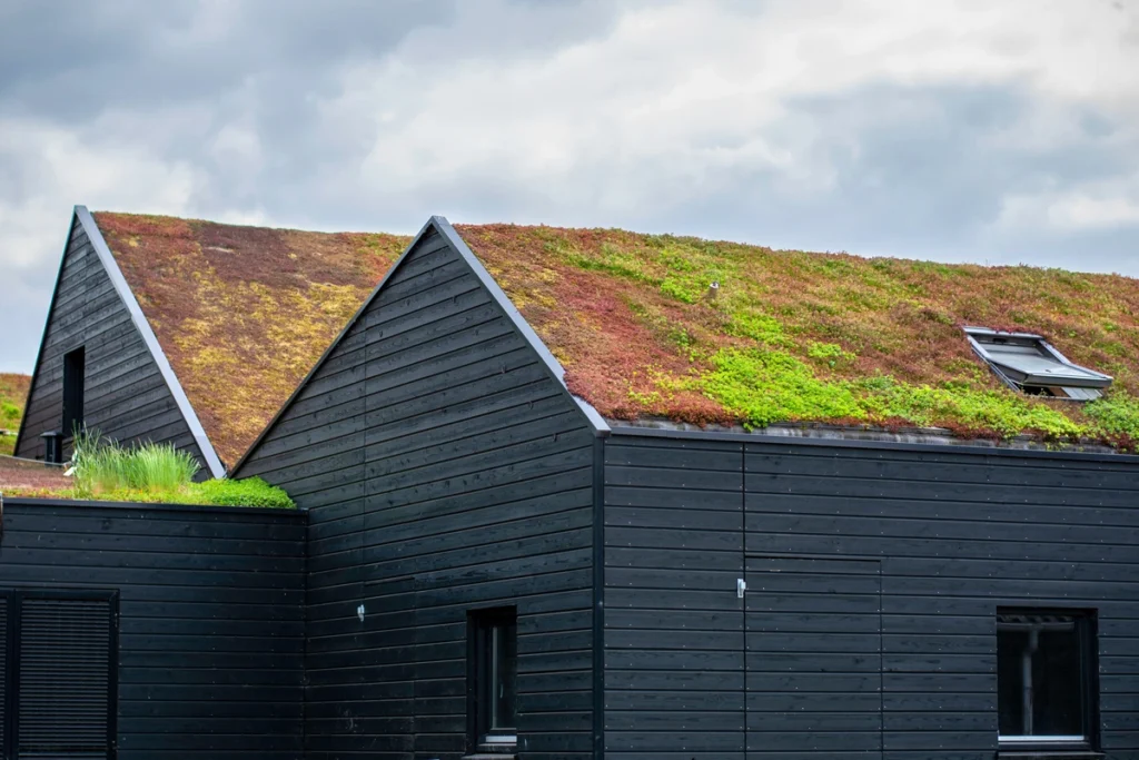 grass roof house roofing
