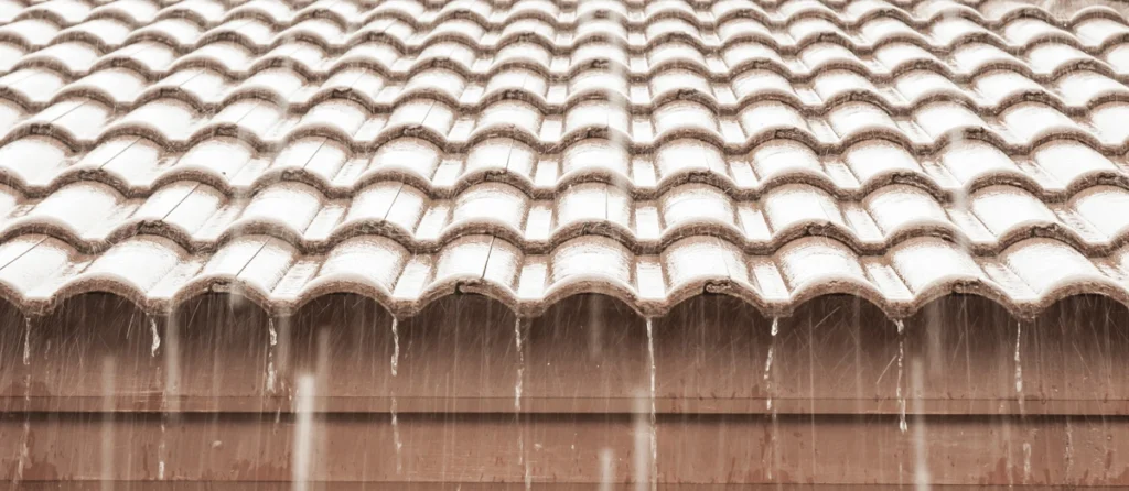 roof rain leak leaking