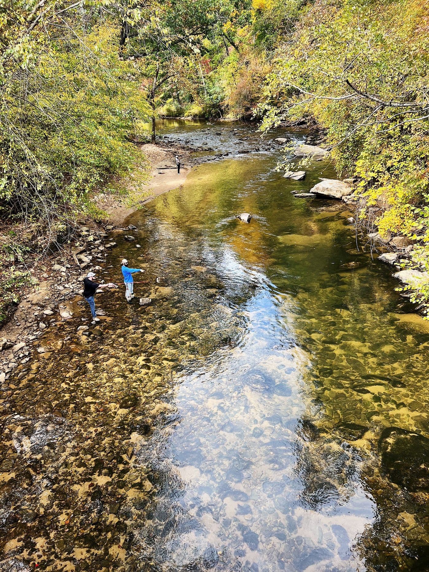 Fall Flyfishing Western North Carolina