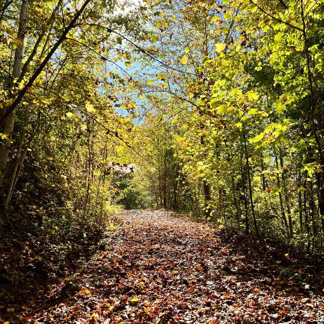 Hiking Trail. Best lesser-known hikes