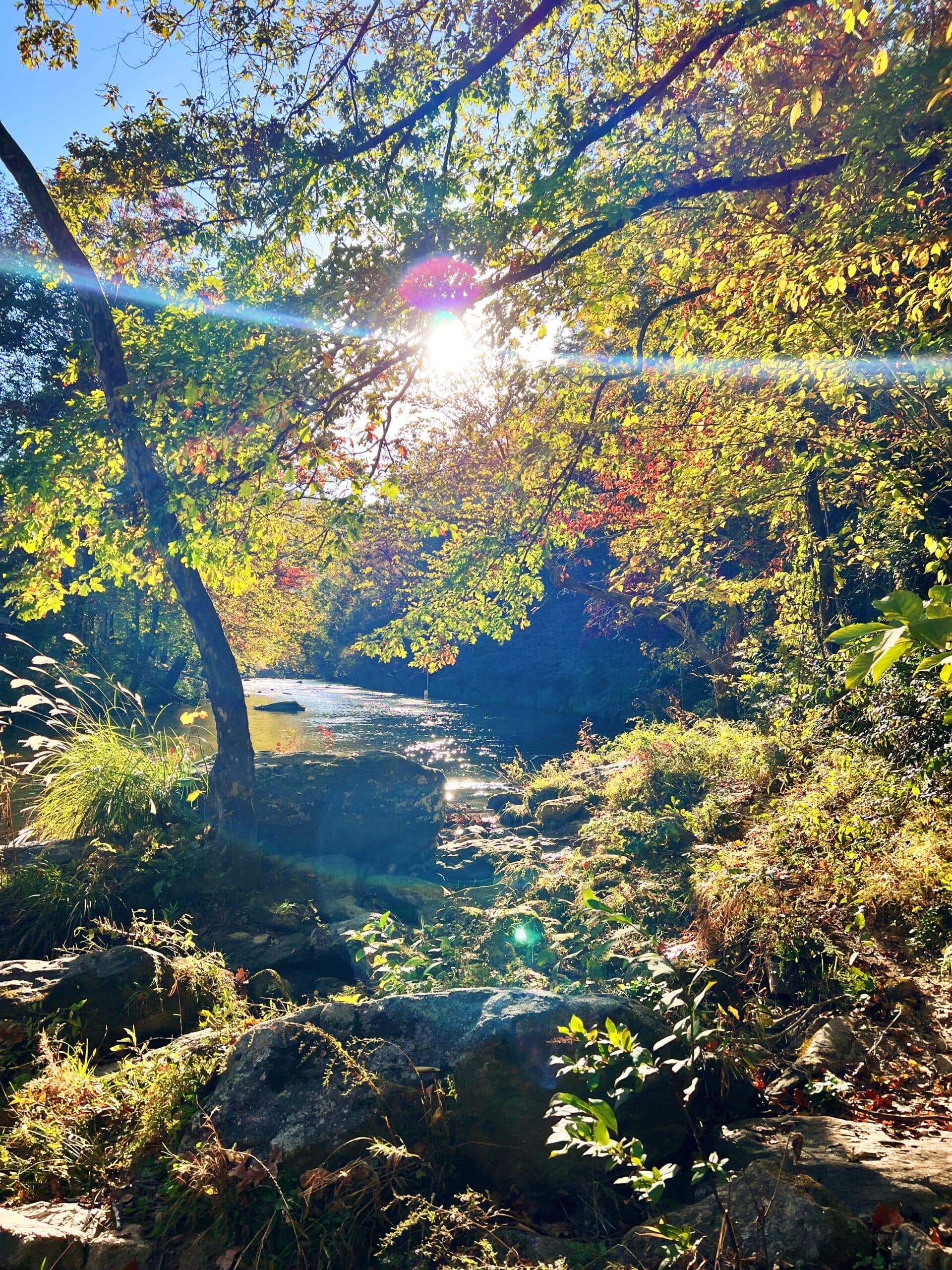 What to Bring When Hiking
