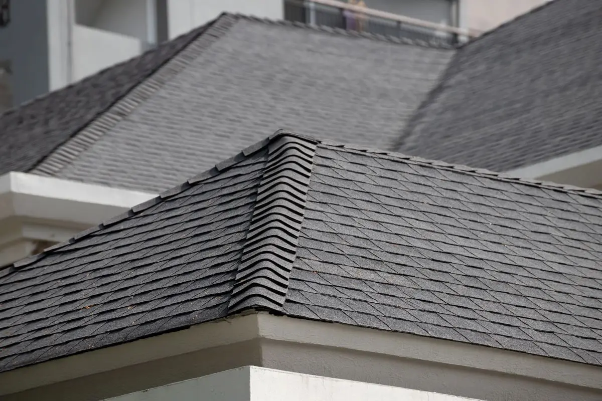 Dark asphalt tiles on the roof