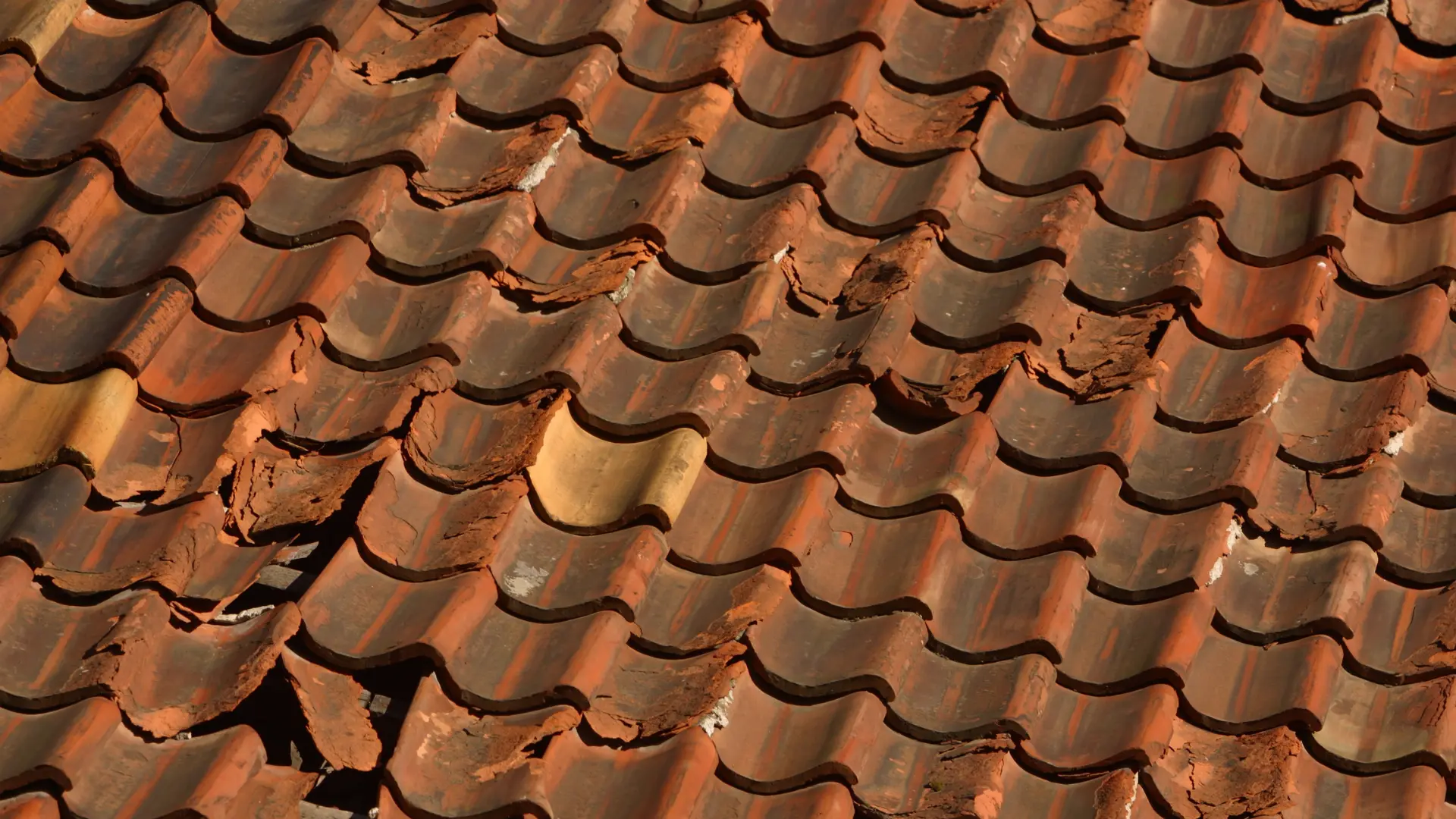 worst shingles
