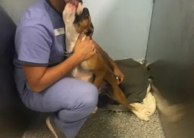 Cris with dog