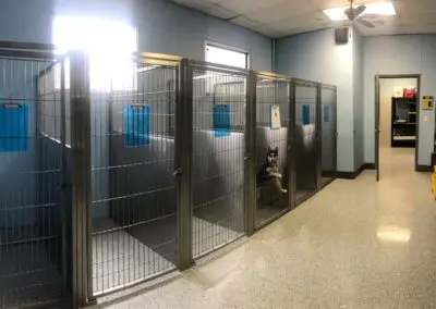 pet boarding cages
