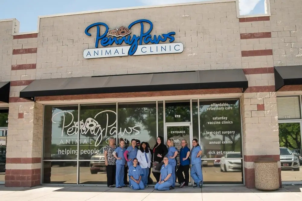 Penny Paws Animal Hospital - Arlington